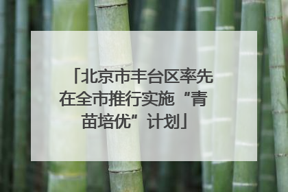 北京市丰台区率先在全市推行实施“青苗培优”计划