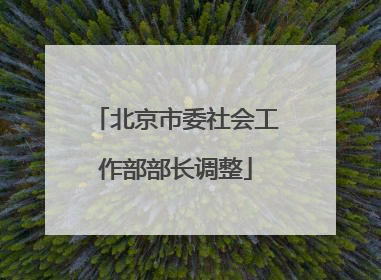 北京市委社会工作部部长调整