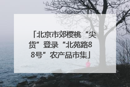 北京市郊樱桃“尖货”登录“北苑路88号”农产品市集