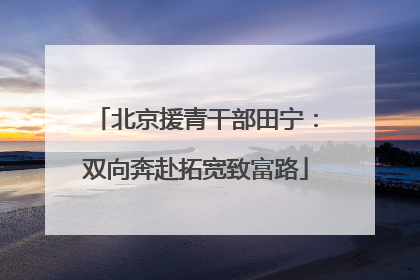 北京援青干部田宁：双向奔赴拓宽致富路
