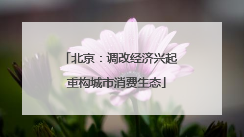 北京：调改经济兴起 重构城市消费生态