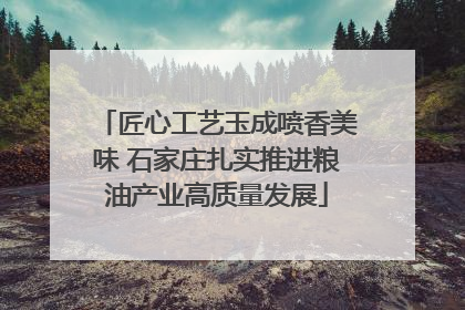 匠心工艺玉成喷香美味 石家庄扎实推进粮油产业高质量发展