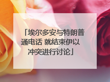 埃尔多安与特朗普通电话 就结束伊以冲突进行讨论