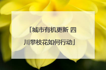 城市有机更新 四川攀枝花如何行动