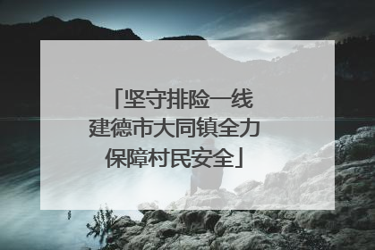 坚守排险一线 建德市大同镇全力保障村民安全