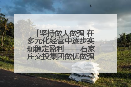 坚持做大做强 在多元化经营中逐步实现稳定盈利——石家庄交投集团做优做强典型报道之三