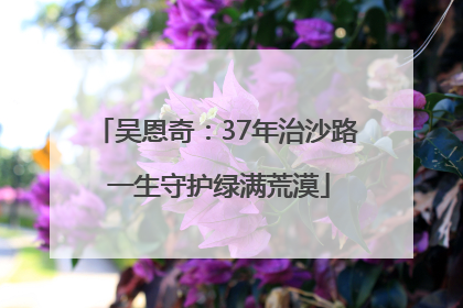 吴恩奇：37年治沙路 一生守护绿满荒漠