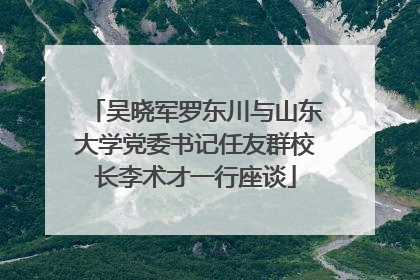 吴晓军罗东川与山东大学党委书记任友群校长李术才一行座谈