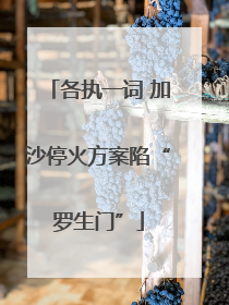 各执一词 加沙停火方案陷“罗生门”