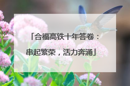 合福高铁十年答卷：串起繁荣，活力奔涌