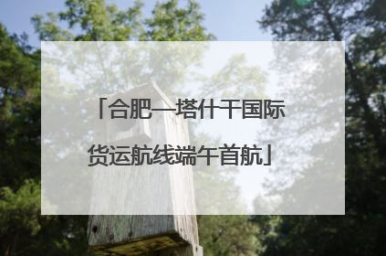 合肥—塔什干国际货运航线端午首航