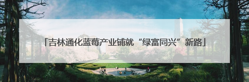 吉林通化蓝莓产业铺就“绿富同兴”新路