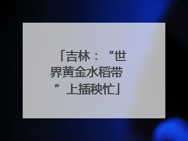 吉林：“世界黄金水稻带”上插秧忙