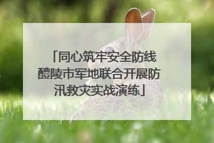 同心筑牢安全防线 醴陵市军地联合开展防汛救灾实战演练