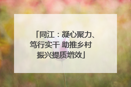 同江：凝心聚力、笃行实干 助推乡村振兴提质增效