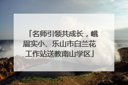 名师引领共成长，峨眉实小、乐山市白兰花工作站送教南山学区