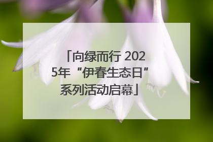 向绿而行 2025年“伊春生态日”系列活动启幕