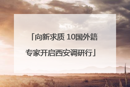 向新求质 10国外籍专家开启西安调研行