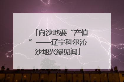 向沙地要“产值”——辽宁科尔沁沙地兴绿见闻