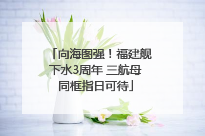 向海图强！福建舰下水3周年 三航母同框指日可待