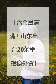 含金量满满！山东出台20条举措稳外资