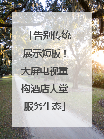 告别传统展示短板！大屏电视重构酒店大堂服务生态