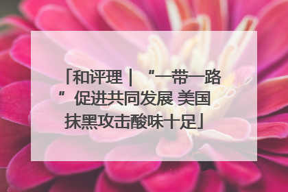 和评理｜“一带一路”促进共同发展 美国抹黑攻击酸味十足