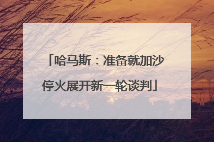 哈马斯：准备就加沙停火展开新一轮谈判