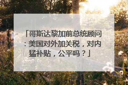 哥斯达黎加前总统顾问：美国对外加关税，对内猛补贴，公平吗？