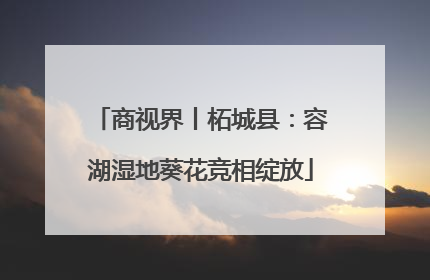 商视界丨柘城县：容湖湿地葵花竞相绽放