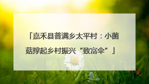 嘉禾县普满乡太平村：小菌菇撑起乡村振兴“致富伞”