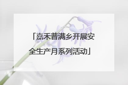 嘉禾普满乡开展安全生产月系列活动