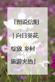 图说信阳｜向日葵花绽放 乡村旅游火热
