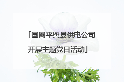 国网平舆县供电公司开展主题党日活动