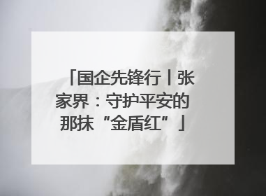 国企先锋行丨张家界：守护平安的那抹“金盾红”