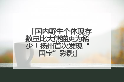 国内野生个体现存数量比大熊猫更为稀少！扬州首次发现“国宝”彩鹮