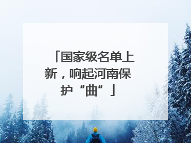 国家级名单上新，响起河南保护“曲”