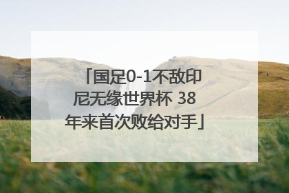 国足0-1不敌印尼无缘世界杯 38年来首次败给对手