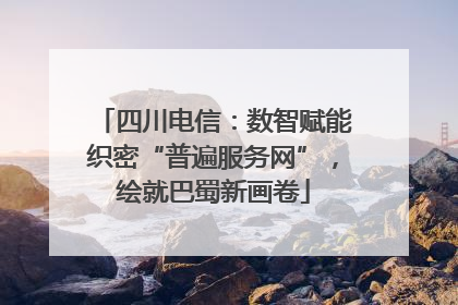 四川电信：数智赋能织密“普遍服务网”，绘就巴蜀新画卷
