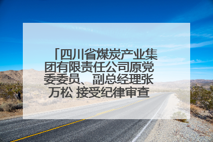 四川省煤炭产业集团有限责任公司原党委委员、副总经理张万松 接受纪律审查和监察调查