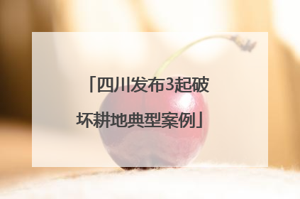 四川发布3起破坏耕地典型案例