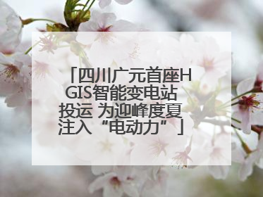 四川广元首座HGIS智能变电站投运 为迎峰度夏注入“电动力”