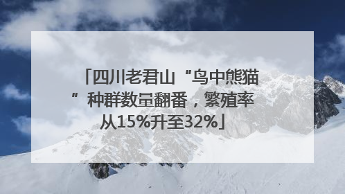 四川老君山“鸟中熊猫”种群数量翻番，繁殖率从15%升至32%
