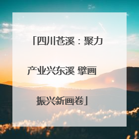 四川苍溪：聚力产业兴东溪 擘画振兴新画卷