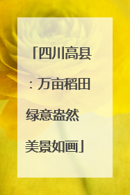 四川高县：万亩稻田绿意盎然 美景如画
