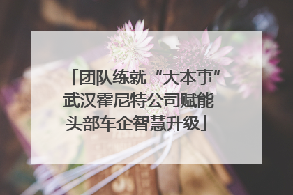 团队练就“大本事” 武汉霍尼特公司赋能头部车企智慧升级