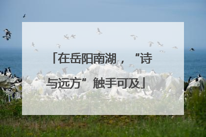 在岳阳南湖，“诗与远方”触手可及