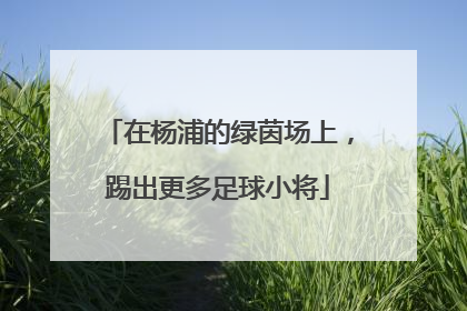 在杨浦的绿茵场上，踢出更多足球小将