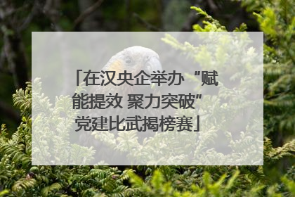 在汉央企举办“赋能提效 聚力突破”党建比武揭榜赛