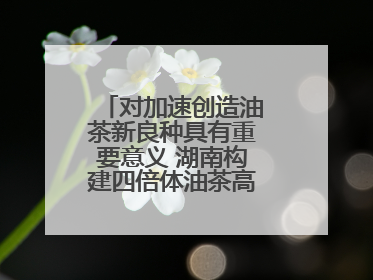 对加速创造油茶新良种具有重要意义 湖南构建四倍体油茶高精度基因图谱